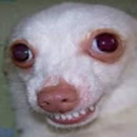 spookygoohl